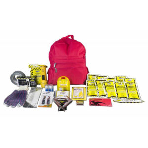 Deluxe 72 Hour Emergency Survival Kit - 1 Person Kit by American Family Safety