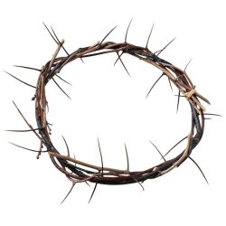 Crown of Thorns