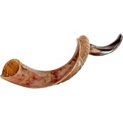 Shofar